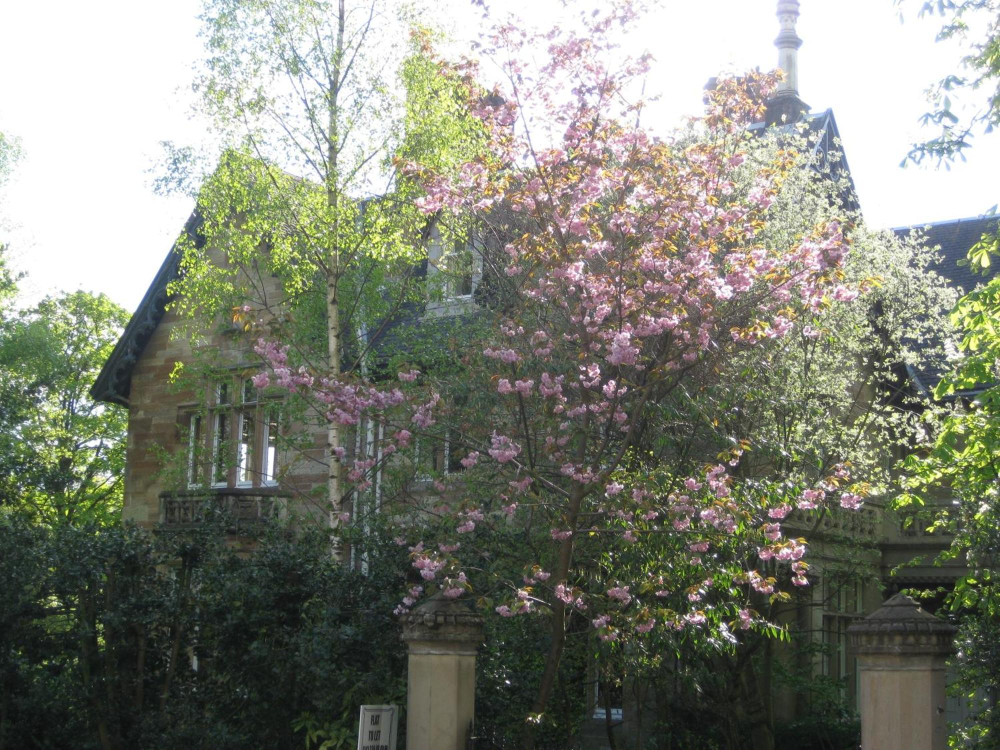 Newhall Glasgow Luaran gambar
